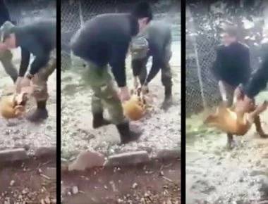 Στρατοδικείο για τους οπλίτες που κακοποίησαν τον σκύλο στην Κόνιτσα